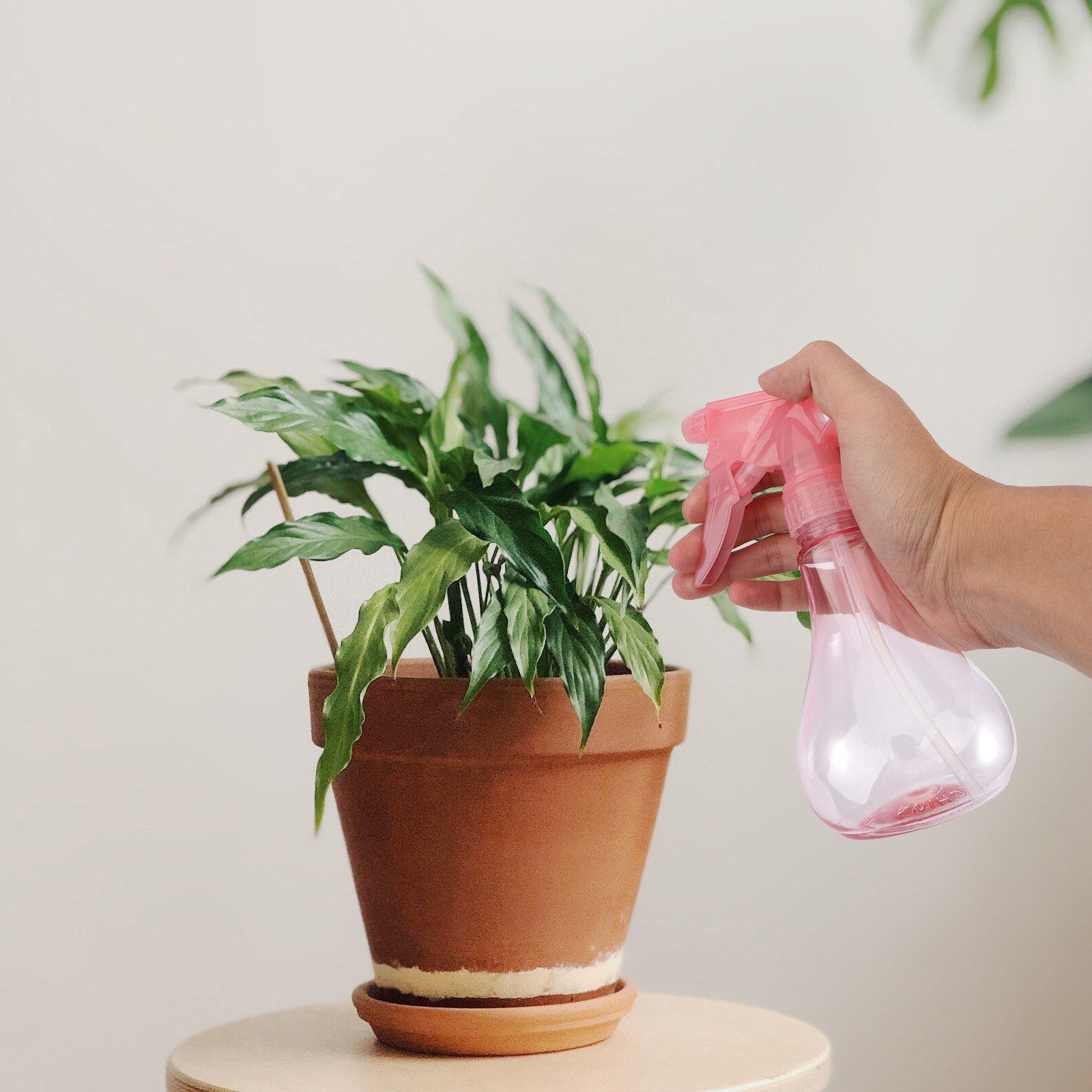 1Set Mini Succulent Planting T - Gardening Tools And Accessories 评论和价格