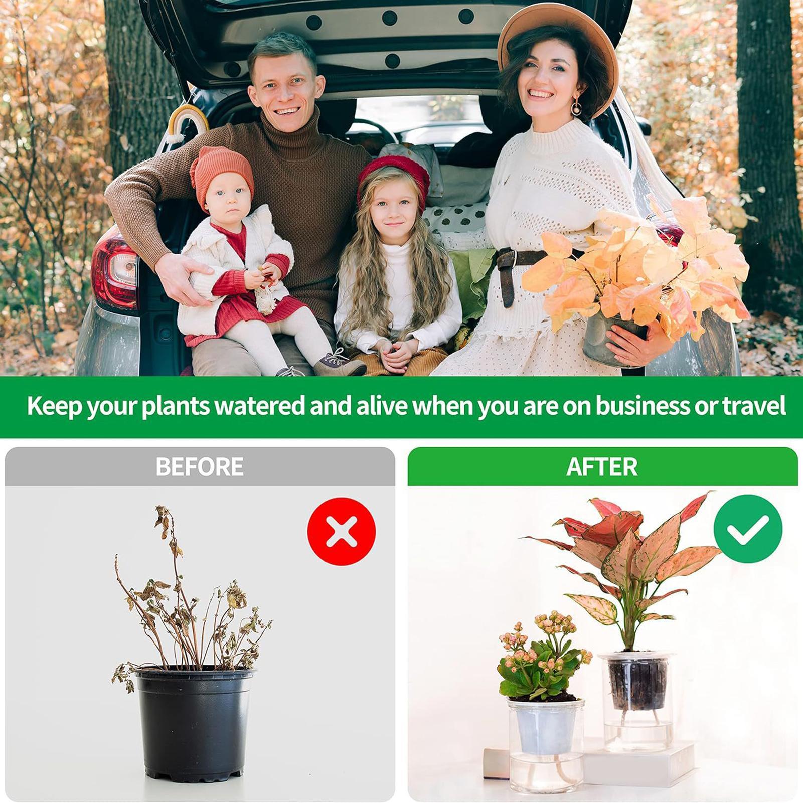 Plant Wicks For Self Watering  - Automatic Plant Waterer 评论和价格
