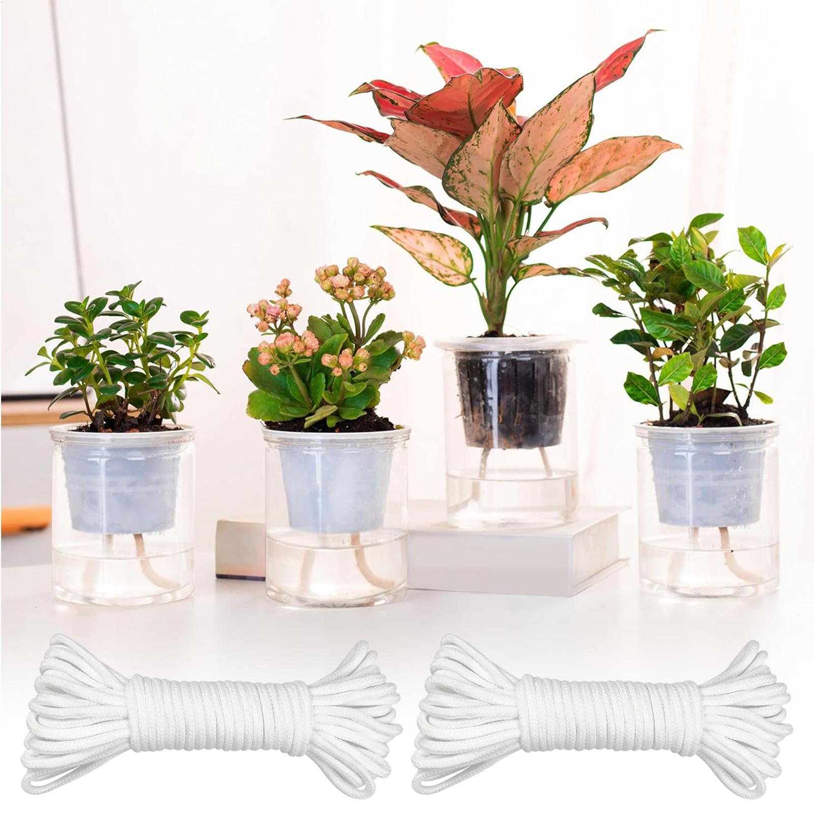 Plant Wicks For Self Watering  - Automatic Plant Waterer 评论和价格