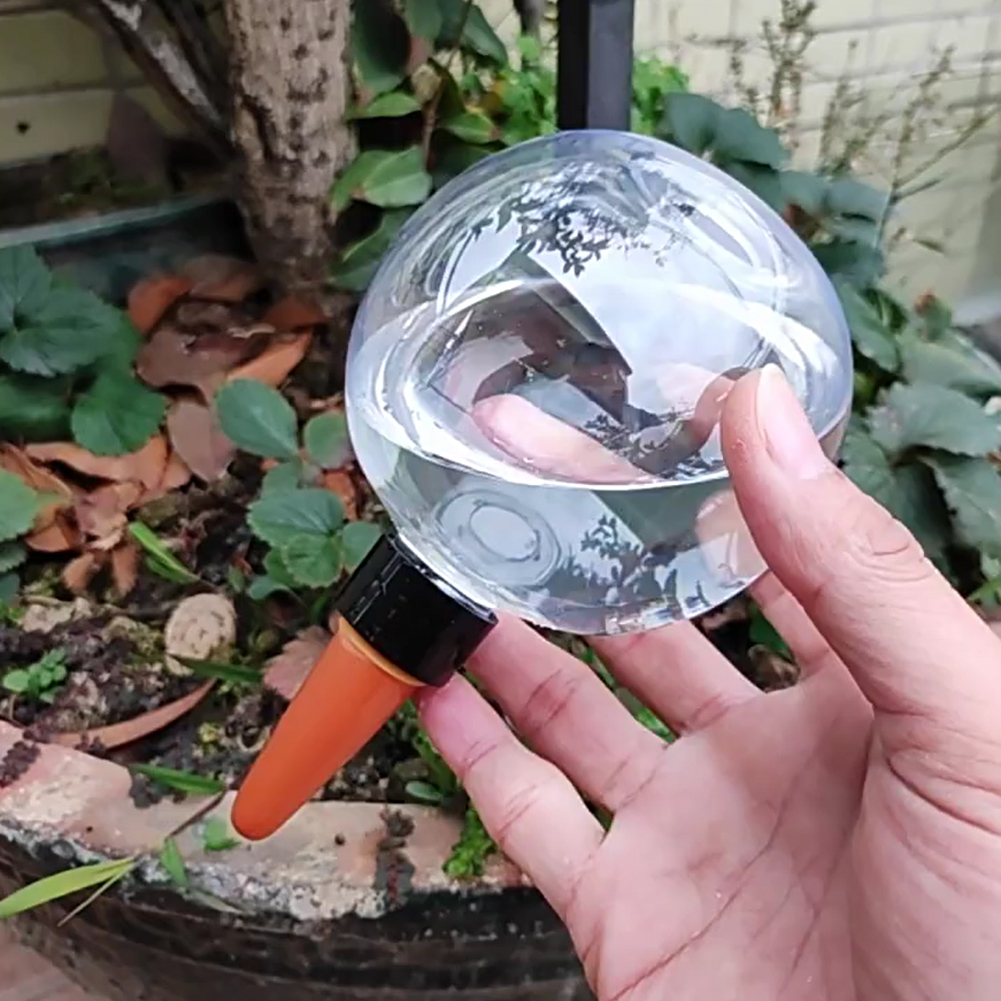 500ML Self Watering Globes Dri - Automatic Plant Waterer 评论和价格