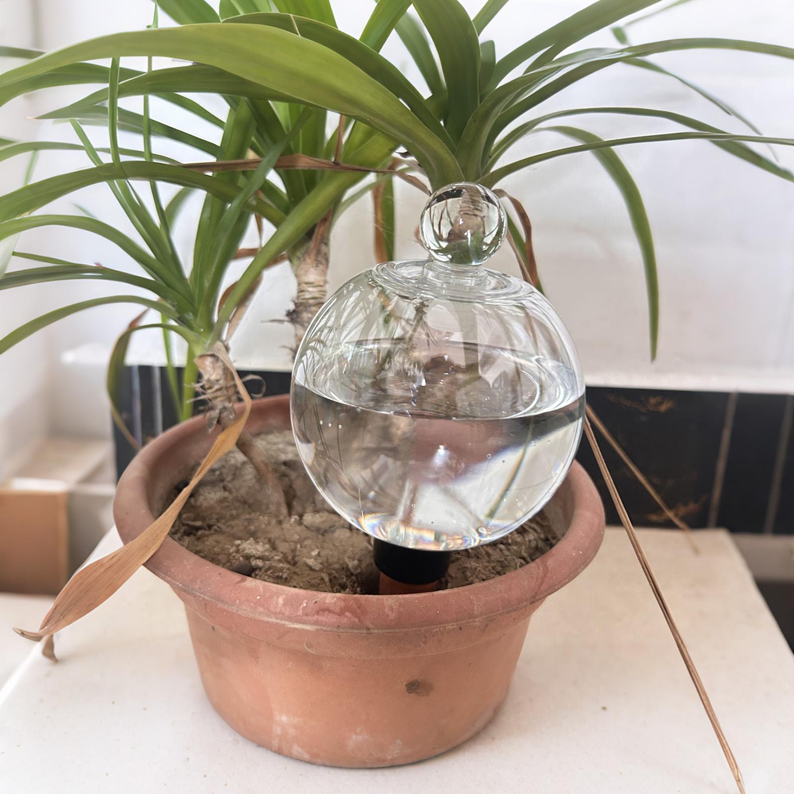 Plant Watering Bulbs 4pcs 500m - Automatic Plant Waterer 评论和价格