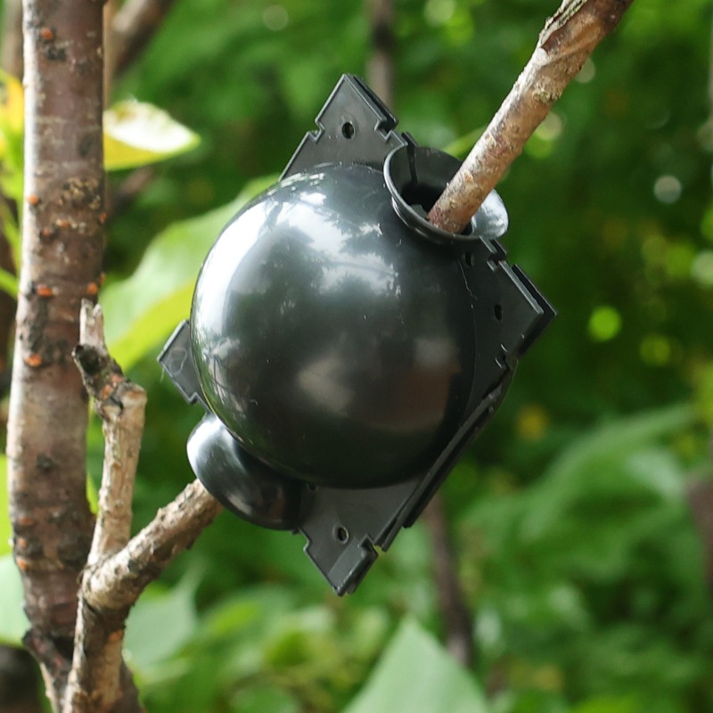 Reusable Plant Rooting Ball Gr - Gardening Tools Organiser 评论和价格