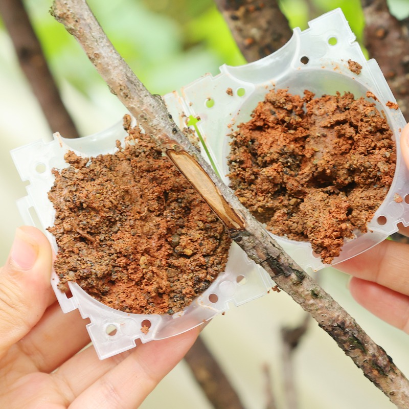 Reusable Plant Rooting Ball Gr - Gardening Tools Organiser 评论和价格