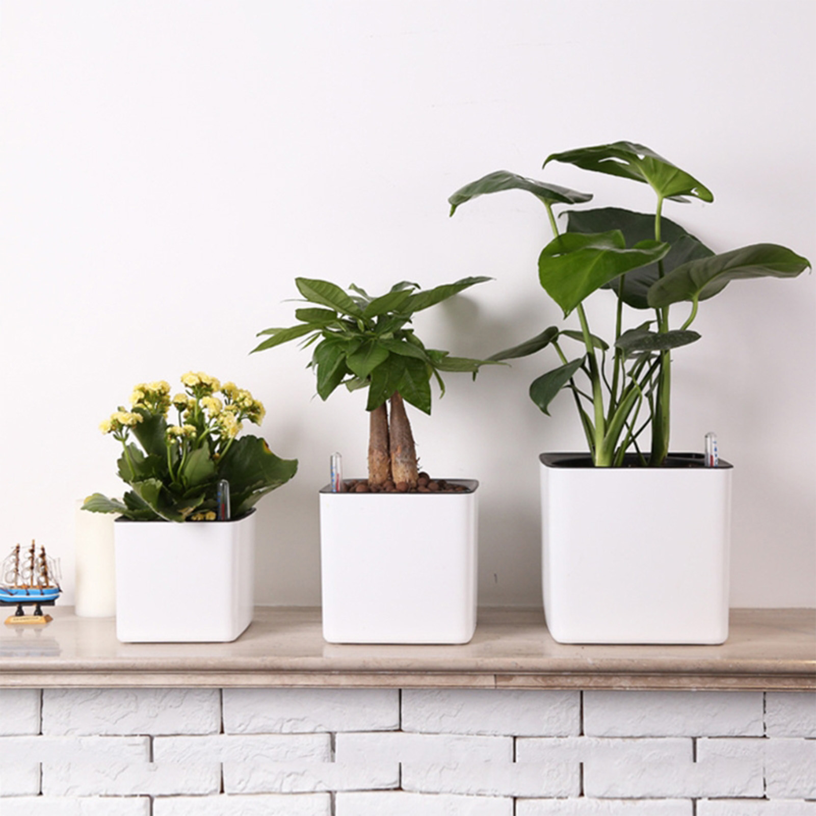 3 size Lazy flowerpot Green Pl - Automatic Plant Waterer 评论和价格