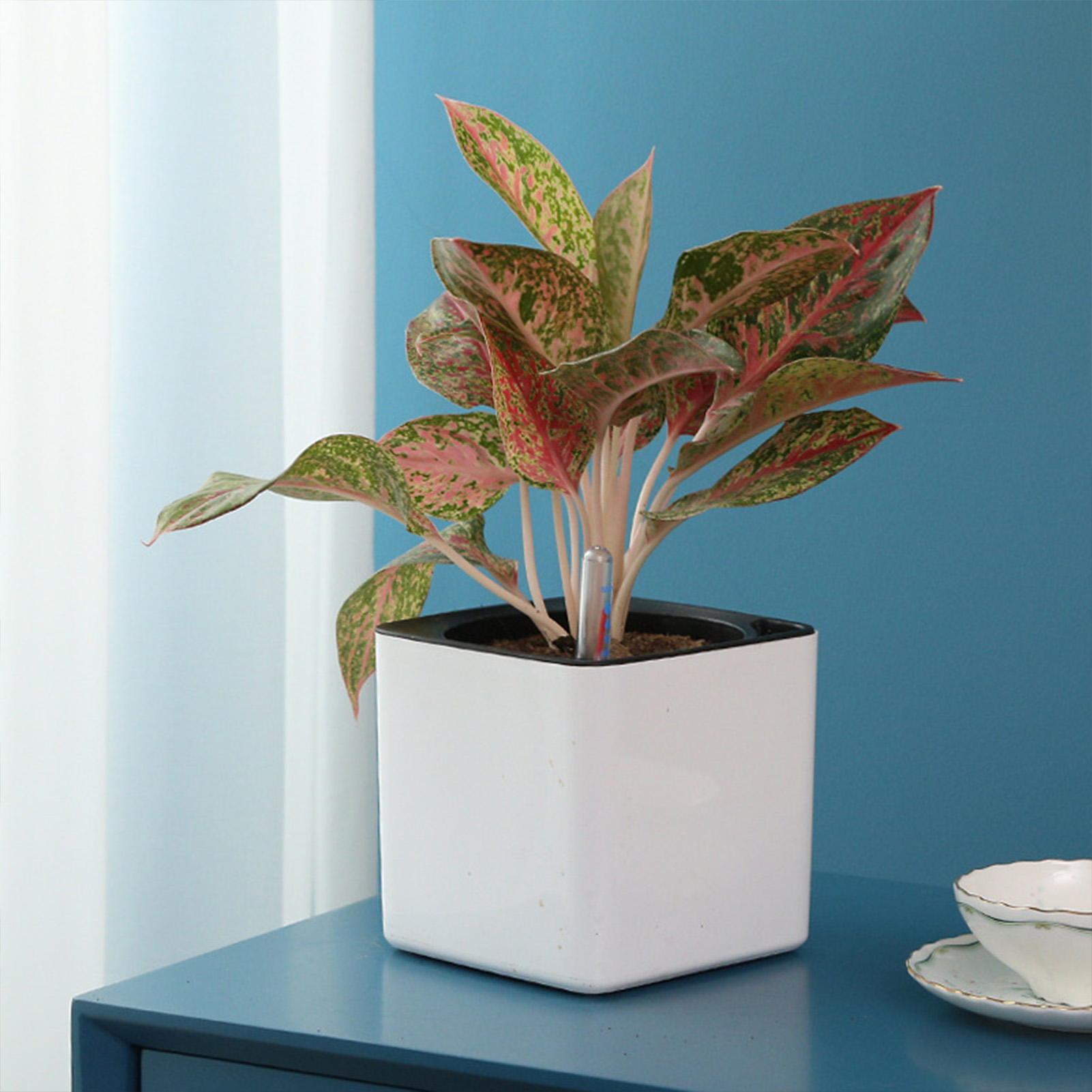 3 size Lazy flowerpot Green Pl - Automatic Plant Waterer 评论和价格