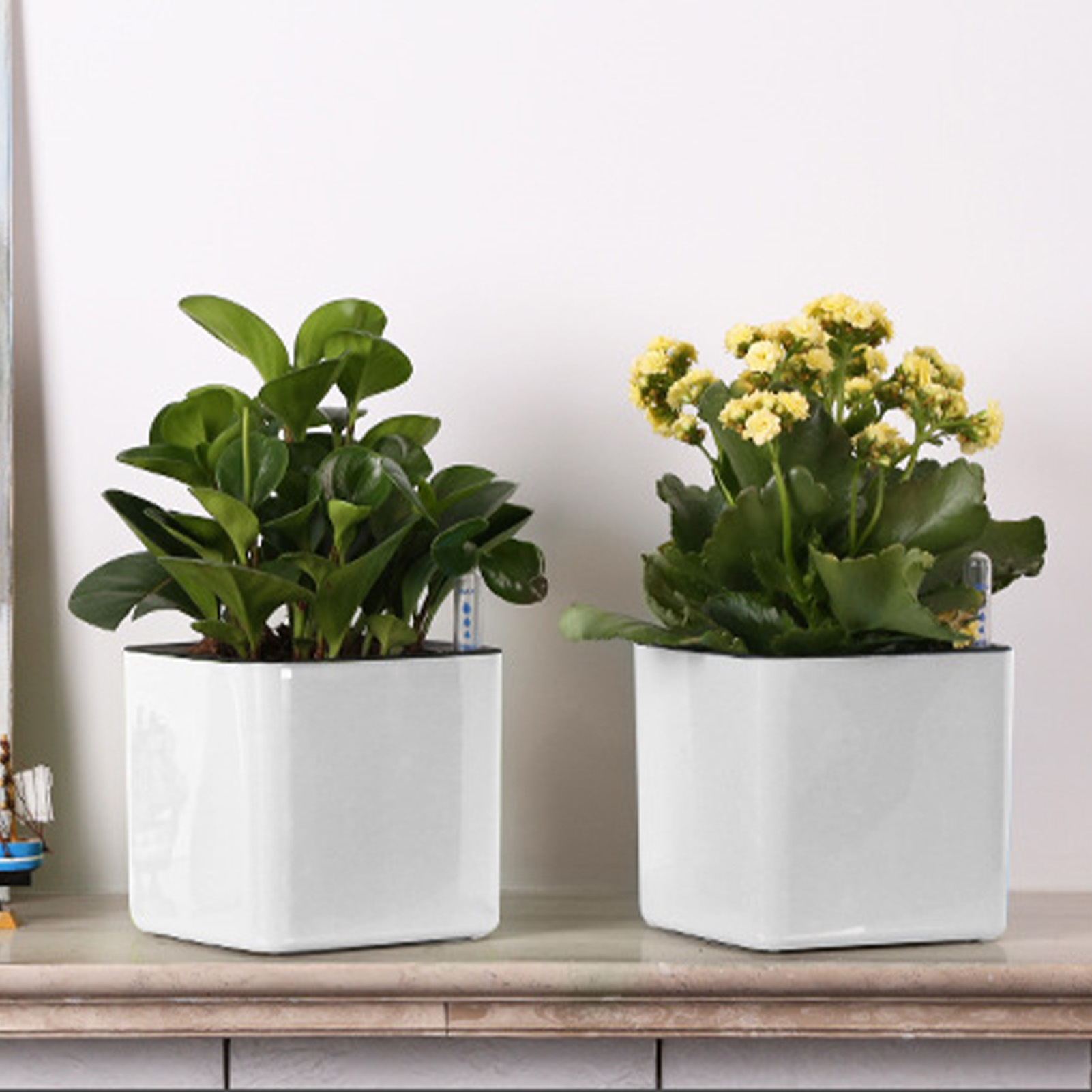 3 size Lazy flowerpot Green Pl - Automatic Plant Waterer 评论和价格