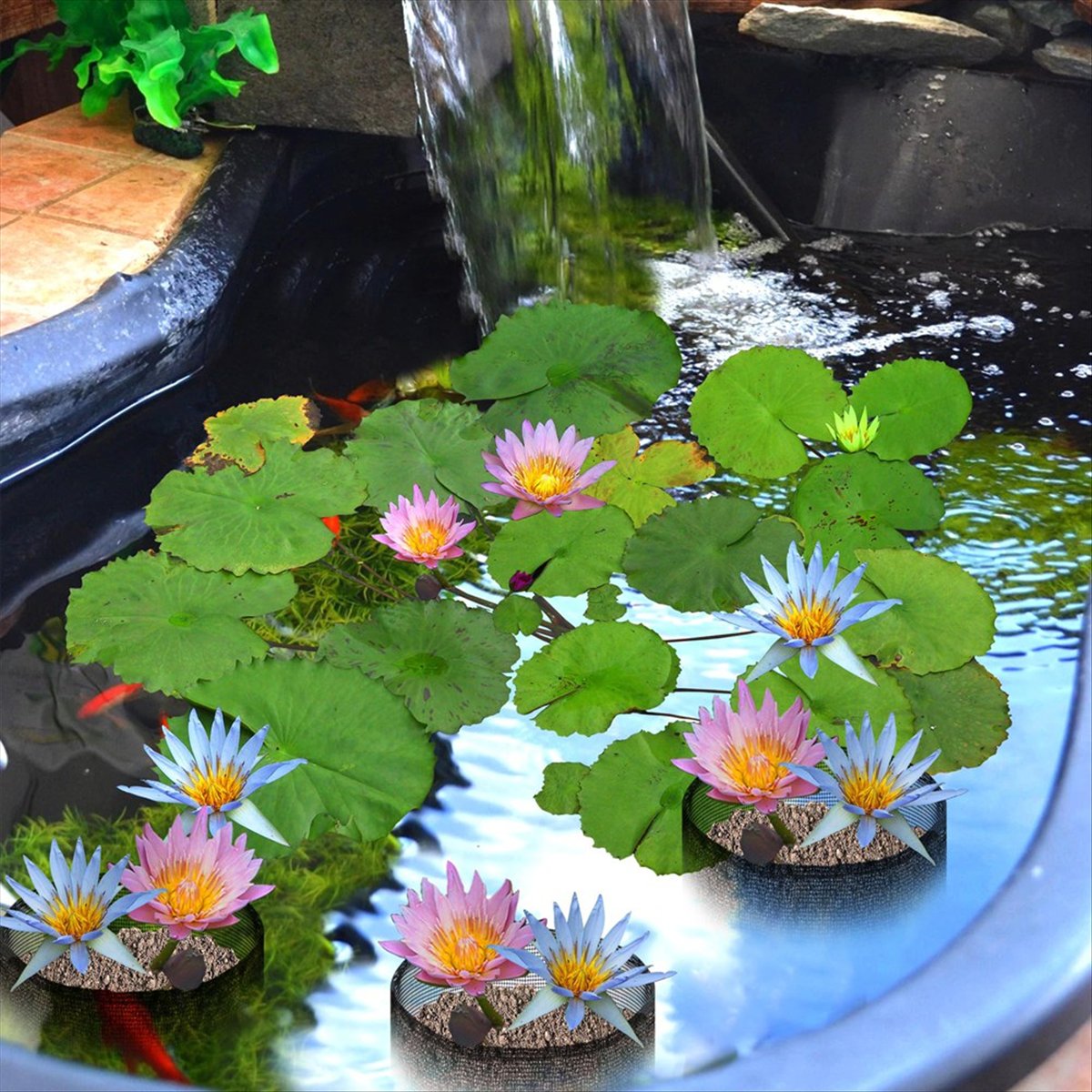 BHBL 4 Pcs X Aquatic Planting  - Gardening Hand Tools B&Q 评论和价格