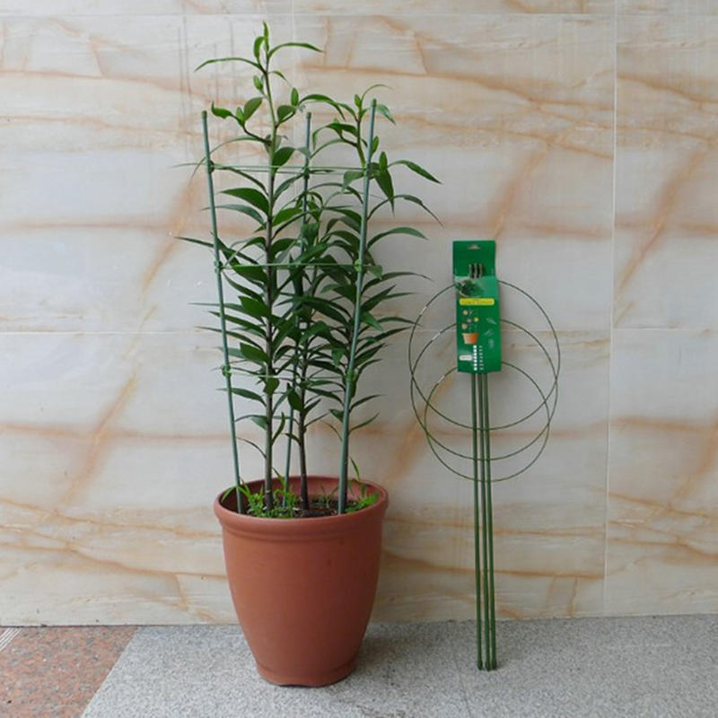 45cm Plant Support Plant Stake - Gardening Tools Range 评论和价格