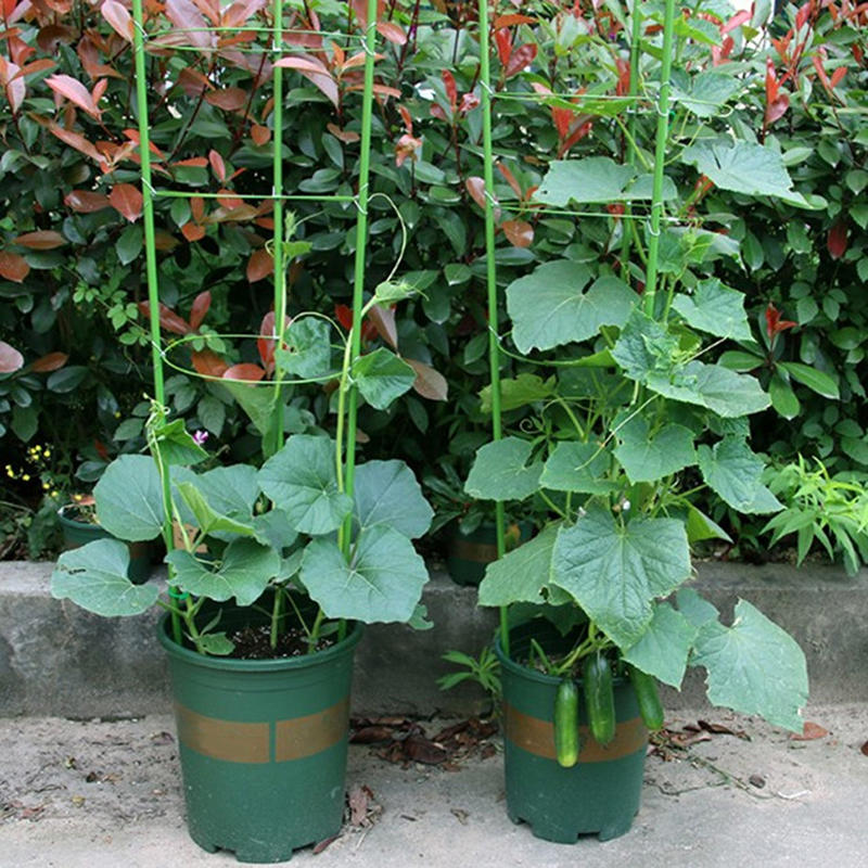45cm Plant Support Plant Stake - Gardening Tools Range 评论和价格