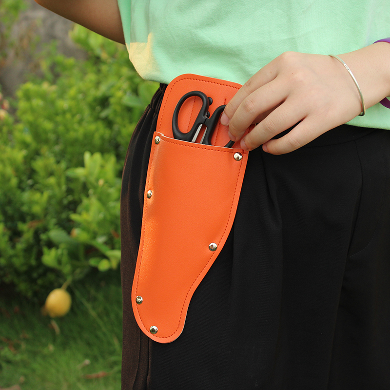 Garden Pruner Sheath Garden Pr - Gardening Tools Organiser 评论和价格