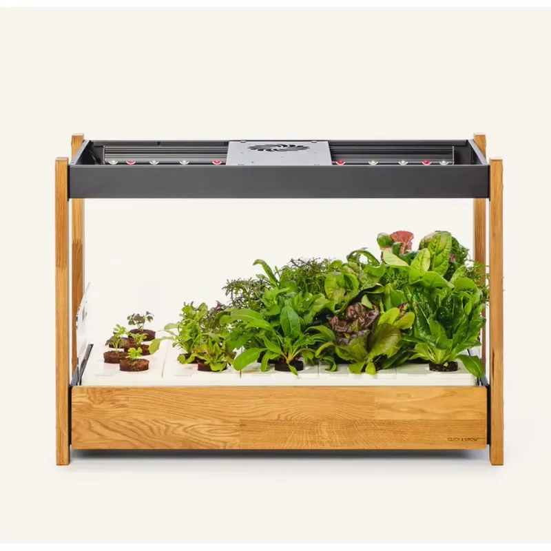 Hot Sale Heirloom Vegetable 27 - Gardening Tools Kit For Sale 评论和价格