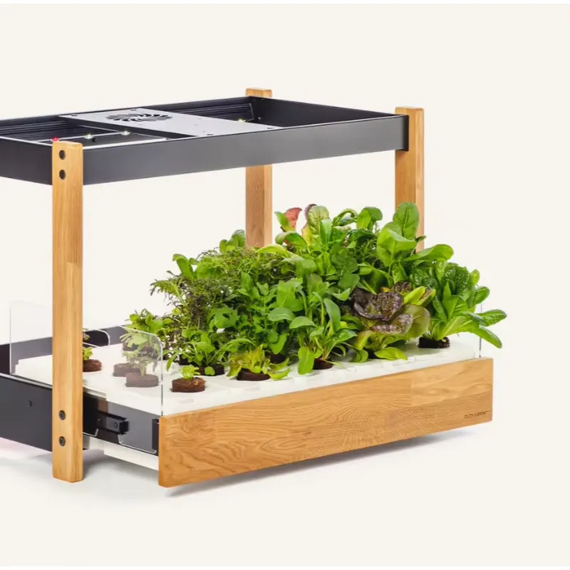 Hot Sale Heirloom Vegetable 27 - Gardening Tools Kit For Sale 评论和价格