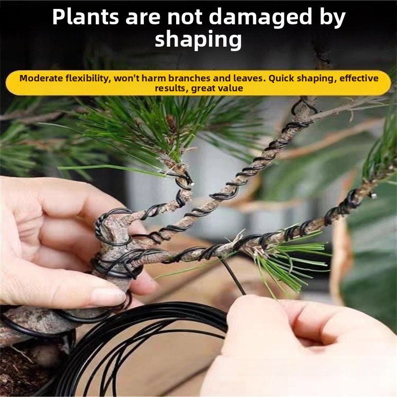 1.5MM Bonsai Wires Aluminum Bo - Gardening Tools And Accessories 评论和价格