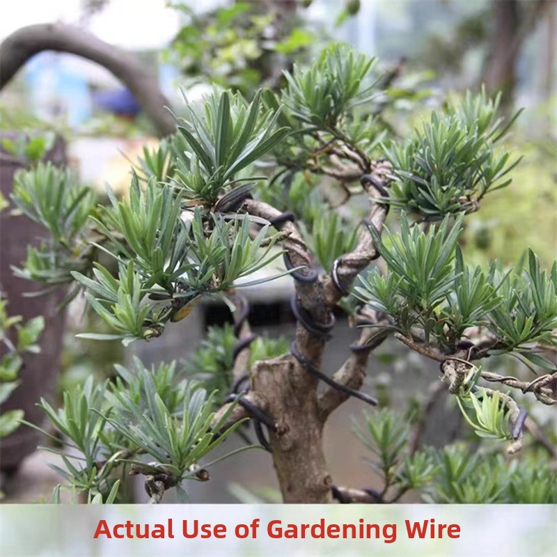 1.5MM Bonsai Wires Aluminum Bo - Gardening Tools And Accessories 评论和价格