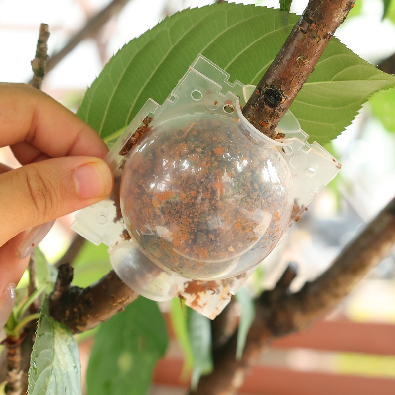 Air Layering Pods Plant Rootin - Gardening Tools Organiser 评论和价格
