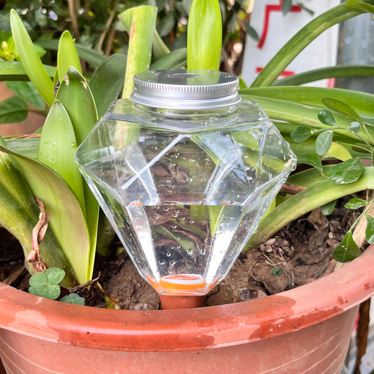 1pcs Cute Plastic Watering Mac - Automatic Plant Waterer 评论和价格