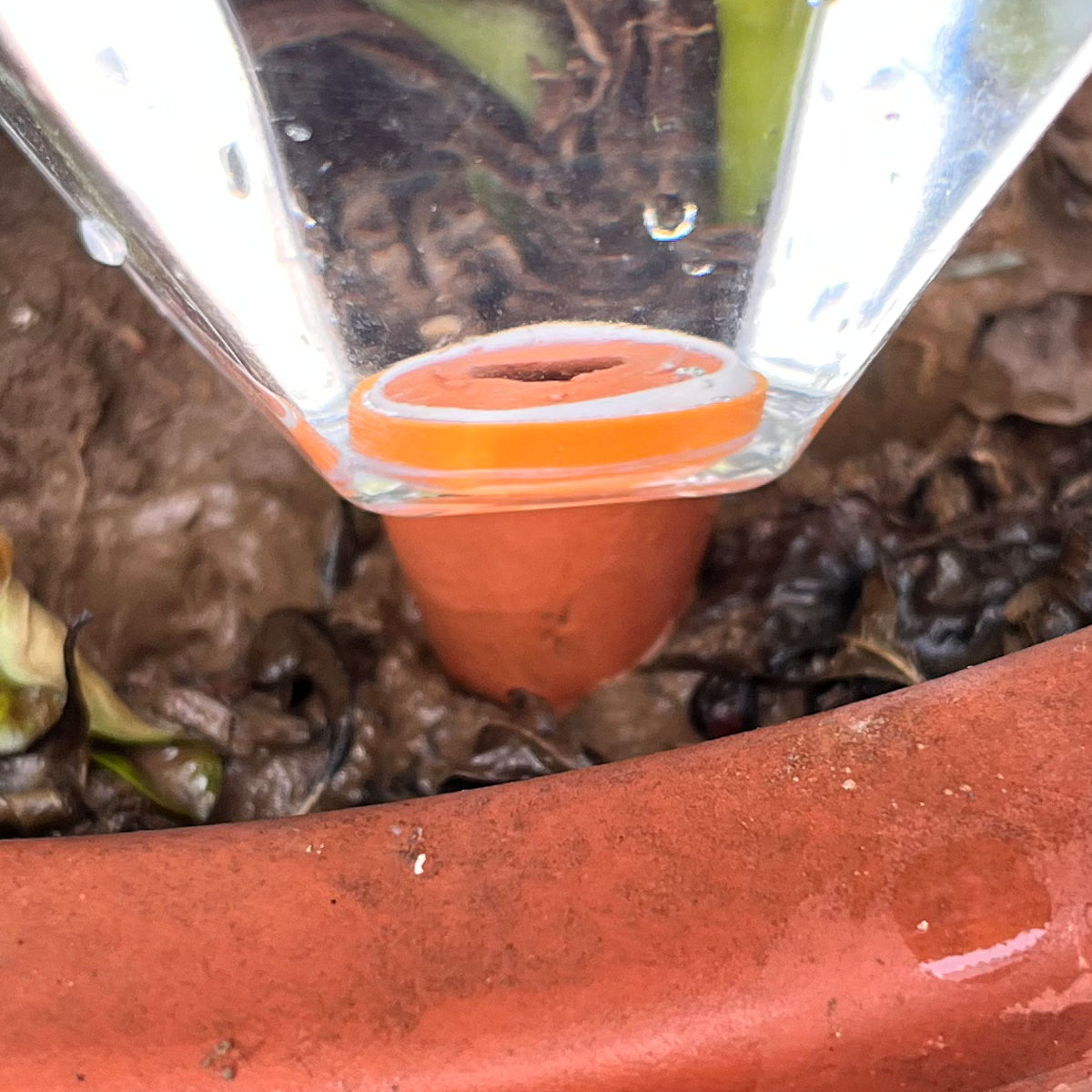 1pcs Cute Plastic Watering Mac - Automatic Plant Waterer 评论和价格