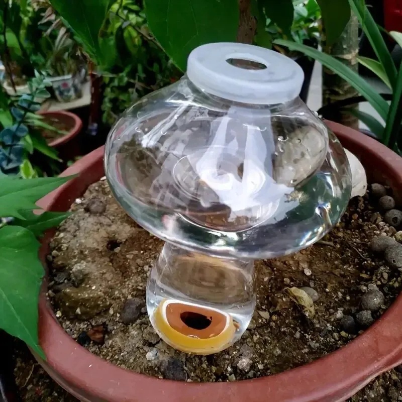 Automatic Plant Waterer Water  - Automatic Plant Waterer 评论和价格