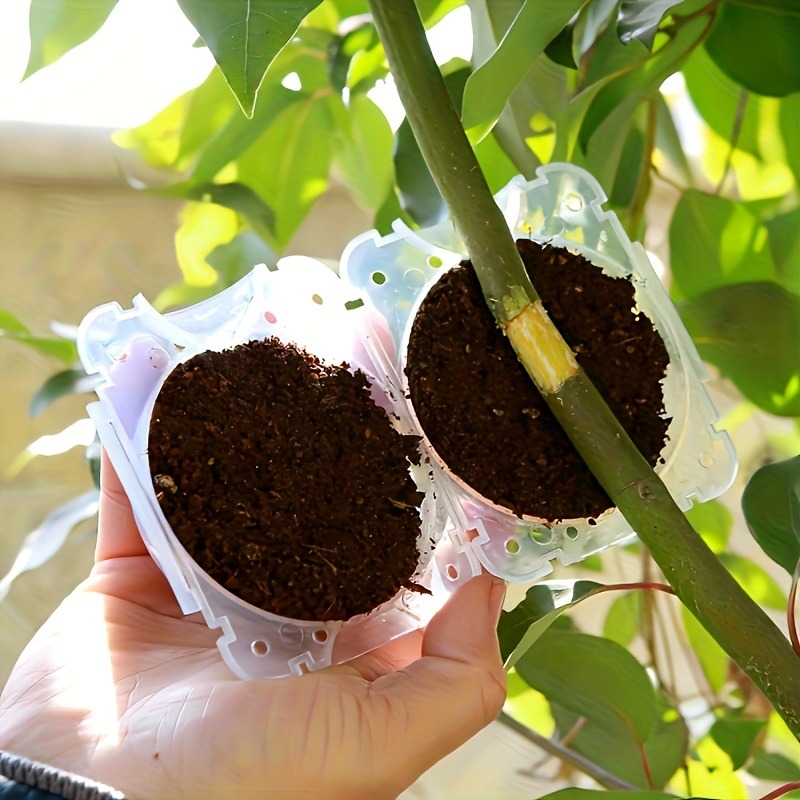 10Pcs High Pressure Plant Root - Gardening Tools Organiser 评论和价格