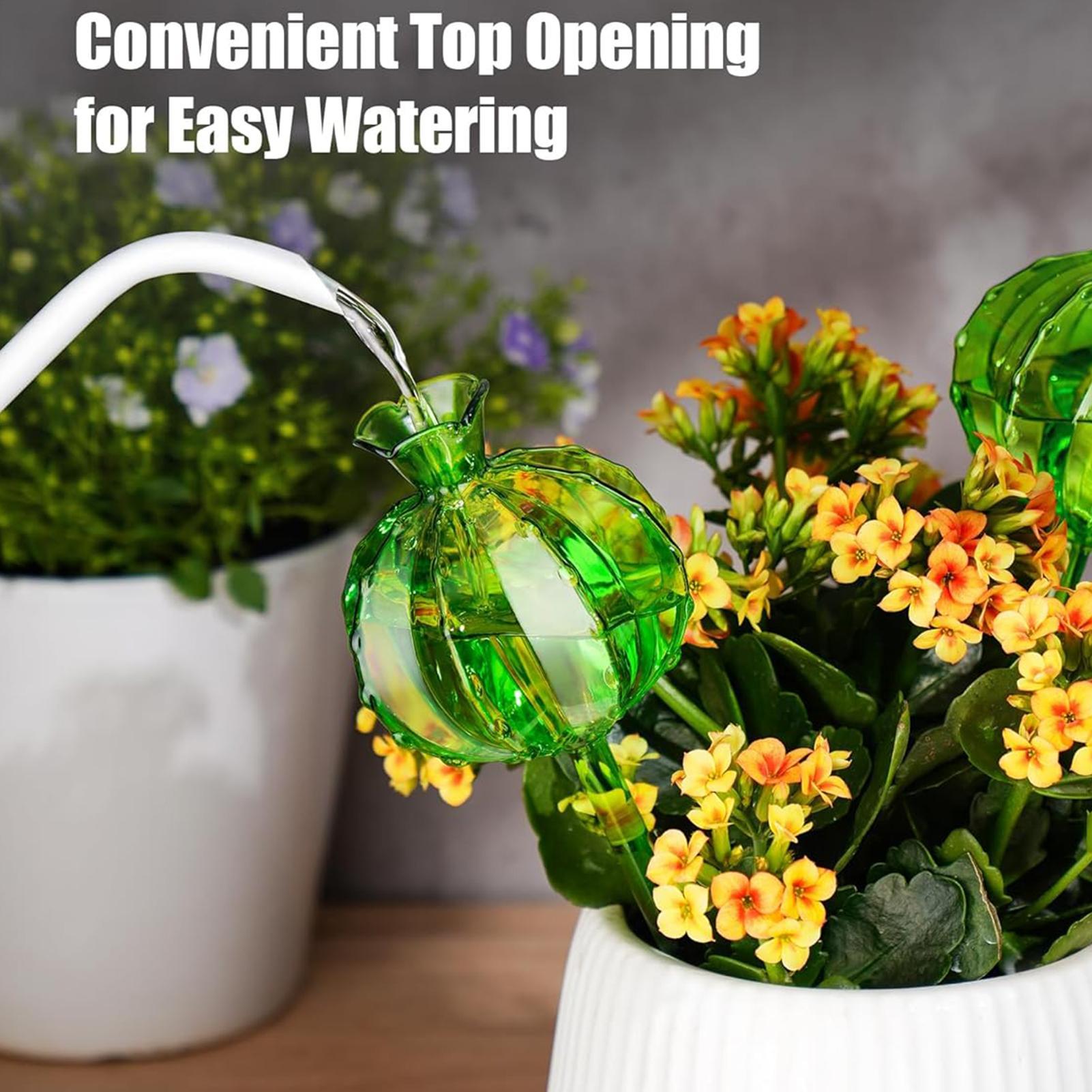 Plant Watering Globes Stakes 3 - Automatic Plant Waterer 评论和价格